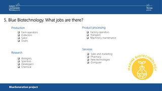 5. Blue Biotechnology. What jobs are there?
Production
Research
 Farm operators
 Collectors
 Sailor
 Divers
 Biologists
 Scientists
 Developers
 Chemical
Product processing
 Factory operators
 Transport
 Machinery maintenance
Services
 Sales and marketing
 Pharmacy
 New technologies
 Computer
 