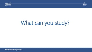 What can you study?
 