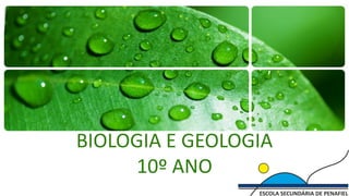 BIOLOGIA E GEOLOGIA
     10º ANO
 