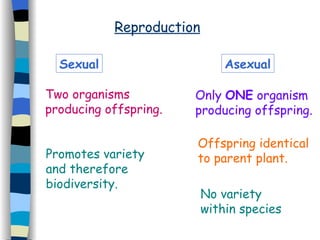 Reproduction Asexual Sexual Only  ONE  organism producing offspring. Offspring identical to parent plant. No variety within species Two organisms producing offspring. Promotes variety and therefore biodiversity. 