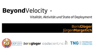BeyondVelocity -
        Vitalität, Aktivität und State of Deployment


                                    BorisGloger
                               JürgenMargetich
 