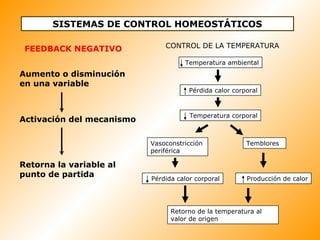 SISTEMAS DE CONTROL HOMEOSTÁTICOS
FEEDBACK NEGATIVO
Aumento o disminución
en una variable
Activación del mecanismo
Retorna la variable al
punto de partida
Vasoconstricción
periférica
Temblores
Retorno de la temperatura al
valor de origen
Temperatura ambiental
Temperatura corporal
Pérdida calor corporal
Pérdida calor corporal
Producción de calor
CONTROL DE LA TEMPERATURA
 