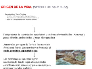 ORIGEN DE LA VIDA. (OPARIN Y HALDANE S. XX)(OPARIN Y HALDANE S. XX)
• Características Tierra Primitiva:
– Atmósfera sin O libre, con H2, CH4, NH3, vapor de agua…
– Altas temperaturas (actividad volcánica, radiaciones solares…)
– Rayos uva y descargas eléctricas de frecuentes tormentas.
Componentes de la atmósfera reaccionan y se forman biomoléculas (Azúcares y
grasas simples, aminoácidos y bases nitrogenadas)
Arrastrados por agua de lluvia a los mares de
forma que fueron concentrándose formando el
caldo primitivo sopa prebiótica
Las biomoléculas sencillas fueron
reaccionando dando lugar a biomoléculas
complejas como azúcares y grasas complejas ,
proteínas y ácidos nucleicos
 