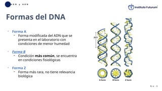 Biologia molecular detras de la sintesis de acidos nucleicos | PPTX