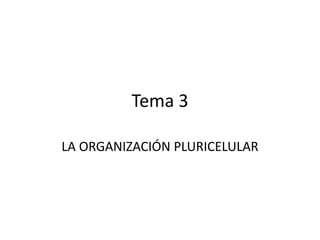 Tema 3
LA ORGANIZACIÓN PLURICELULAR
 