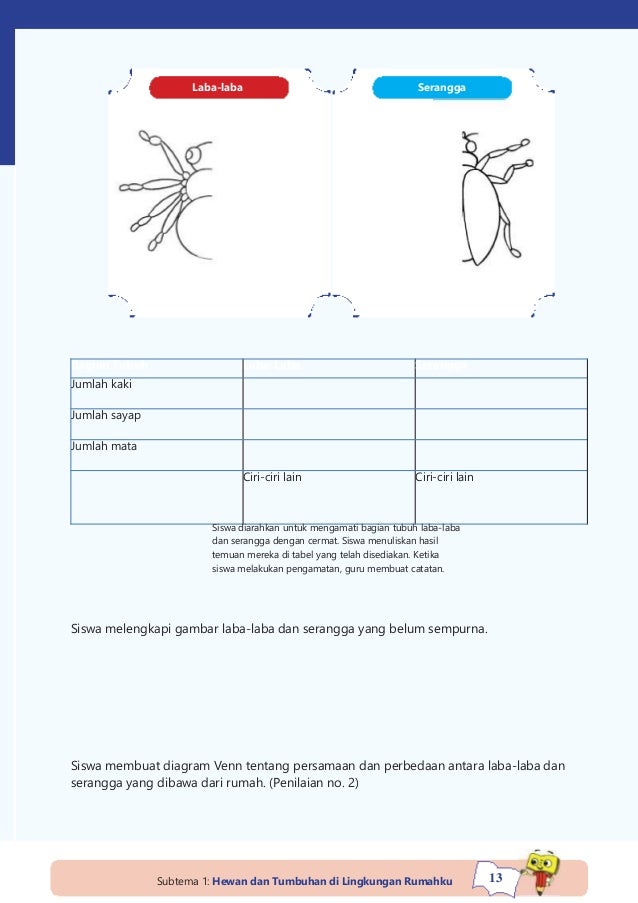 71 Gambar Sketsa Hewan Laba-laba Gratis
