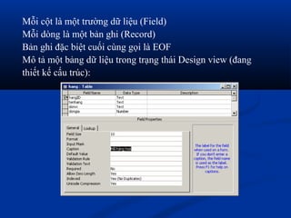 Mỗi cột là một trường dữ liệu (Field)
Mỗi dòng là một bản ghi (Record)
Bản ghi đặc biệt cuối cùng gọi là EOF
Mô tả một bảng dữ liệu trong trạng thái Design view (đang
thiết kế cấu trúc):
 
