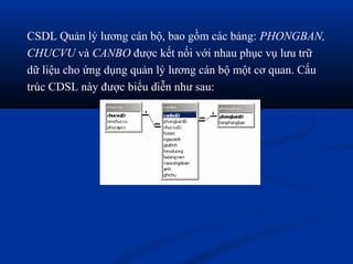CSDL Quản lý lương cán bộ, bao gồm các bảng: PHONGBAN,
CHUCVU và CANBO được kết nối với nhau phục vụ lưu trữ
dữ liệu cho ứng dụng quản lý lương cán bộ một cơ quan. Cấu
trúc CDSL này được biểu diễn như sau:
 
