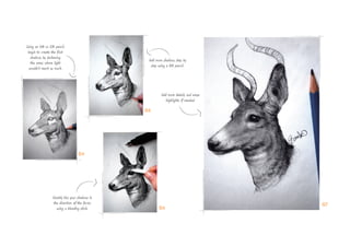 Using an HB or 2B pencil,
begin to create the first
shadows by darkening
the areas where light
wouldn’t reach as much.
Add more shadows step by
step using a 3B pencil.
Gently blur your shadows in
the direction of the forms
using a blending stick.
Add more details and erase
highlights if needed.
04
05
06
07
 