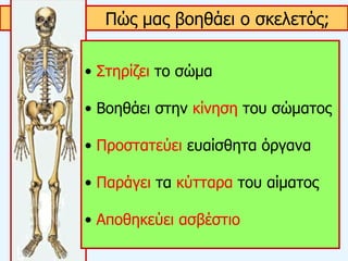 Πώς μας βοηθάει ο σκελετός;
• Στηρίζει το σώμα
• Βοηθάει στην κίνηση του σώματος
• Προστατεύει ευαίσθητα όργανα
• Παράγει τα κύτταρα του αίματος
• Αποθηκεύει ασβέστιο
 