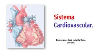 Sistema
Cardiovascular.
Enfermero. José Luis Cardona
Morales.
 