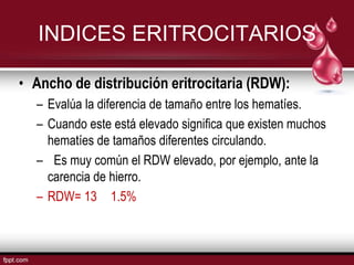 INDICES ERITROCITARIOS

• Ancho de distribución eritrocitaria (RDW):
  – Evalúa la diferencia de tamaño entre los hematíes.
  – Cuando este está elevado significa que existen muchos
    hematíes de tamaños diferentes circulando.
  – Es muy común el RDW elevado, por ejemplo, ante la
    carencia de hierro.
  – RDW= 13 1.5%
 