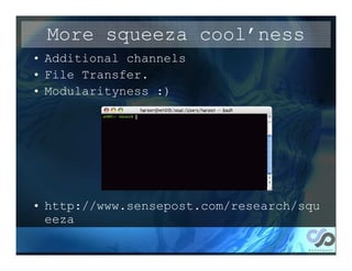 More squeeza cool’ness
• Additional channels
• File Transfer.
• Modularityness :)




• http://www.sensepost.com/research/squ
  eeza
 