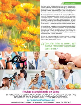 body&health julio-agosto
Las flores fueron utilizadas durante largo tiempo para dar mejor
aspecto a infusiones de hierbas, mucho antes de que se descubrieran
propiedades medicinales en los pigmentos florales, aunque en la
actualidad se utilizan igualmente los tallos y hojas en la preparación de
tisanas para regularizar la menstruación y trastornos de la regla.
Es usado también como estimulante de la actividad hepática,
secreción biliar y antiespasmódico; así como en forma de tinturas,
ungüentos, pomadas o compresas en afecciones cutáneas, como
antiséptico en tumores, verrugas, llagas, furunculosis, eczemas,
irritación cutánea, etc.; son muy adecuados los baños de vapor
para la piel ya que la planta es un excelente cicatrizante. La industria
de la cosmética la utiliza precisamente en preparados para la piel.
Es una planta muy utilizada en procesos inflamatorios o hinchazones,
se aplica en lavados, fomentos o cataplasmas, con el cocimiento de
las ramas. Hervida la raíz con sal, se pone como fomentos sobre
las hinchazones causadas por inyecciones mal puestas, o bien, las
hojas hervidas y machacadas son “sobadas” en las zonas afectadas,
las hojas se dejan a manera de emplasto.
En caso de inflamación vaginal, se hierven las ramas con las de
bacana, hierba del cáncer, hojas de hierba santa y rosa de castilla
(spp. n/r) y se hace un lavado interno.
Como bien indica su nombre, está
planta es “maravillosa” para remediar
cualquier mal.
 
