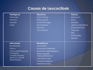 Fisiológicas:
Embarazo
Infancia
Esfuerzo
Calor
Reactivas:
Dolor intenso
Estrés agudo
Posthemorragia
Quemaduras
Necrosis
Traumatismo
Tóxicas:
Fármacos
Gota
Acidosis
urémica/diabética
Catecolaminas
Vacunas
Litio
Corticoides
Hipoxia
Infecciosas:
Bacterianas
Víricas
Otras: enfermedades
ricketsiosis,
complicaciones
sépticas, micosis
diseminadas.
Neoplásicas:
Leucemias
Leucemias mieloides
Síndrome mielodispásico
Enfermedades
mieloproliferativas
Policitemia vera
Tumores malignos
Metástasis óseas
Causas de Leucocitosis
 