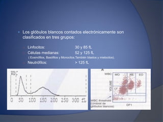  Los glóbulos blancos contados electrónicamente son
clasificados en tres grupos:
○ Linfocitos: 30 y 85 fL
○ Células medianas: 52 y 125 fL
( Eosinófilos, Basófilos y Monocitos.También blastos y mielocitos).
○ Neutrófilos: > 125 fL
 
