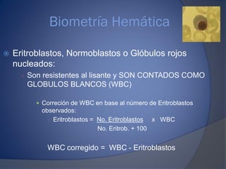 Biometría Hemática
 Eritroblastos, Normoblastos o Glóbulos rojos
nucleados:
○ Son resistentes al lisante y SON CONTADOS COMO
GLOBULOS BLANCOS (WBC)
 Correción de WBC en base al número de Eritroblastos
observados:
- Eritroblastos = No. Eritroblastos x WBC
No. Eritrob. + 100
WBC corregido = WBC - Eritroblastos
 