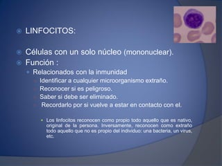  LINFOCITOS:
 Células con un solo núcleo (mononuclear).
 Función :
 Relacionados con la inmunidad
○ Identificar a cualquier microorganismo extraño.
○ Reconocer si es peligroso.
○ Saber si debe ser eliminado.
○ Recordarlo por si vuelve a estar en contacto con el.
 Los linfocitos reconocen como propio todo aquello que es nativo,
original de la persona. Inversamente, reconocen como extraño
todo aquello que no es propio del individuo: una bacteria, un virus,
etc.
 