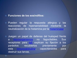 Funciones de los eosinófilos:
 Pueden regular la respuesta alérgica y las
reacciones de hipersensibilidad mediante la
neutralización de la histamina por la histaminasa.
 Juegan un papel de defensa del huésped frente
a microorganismos no fagocitables. Sus
receptores para IgE explican su fijación a los
parásitos recubiertos previamente por
esta inmunoglobulina, capacitándoles para
destruir sus larvas.

 