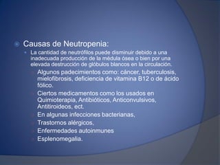  Causas de Neutropenia:
 La cantidad de neutrófilos puede disminuir debido a una
inadecuada producción de la médula ósea o bien por una
elevada destrucción de glóbulos blancos en la circulación.
○ Algunos padecimientos como: cáncer, tuberculosis,
mielofibrosis, deficiencia de vitamina B12 o de ácido
fólico.
○ Ciertos medicamentos como los usados en
Quimioterapia, Antibióticos, Anticonvulsivos,
Antitiroideos, ect.
○ En algunas infecciones bacterianas,
○ Trastornos alérgicos,
○ Enfermedades autoinmunes
○ Esplenomegalia.
 