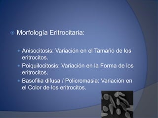  Morfología Eritrocitaria:
 Anisocitosis: Variación en el Tamaño de los
eritrocitos.
 Poiquilocitosis: Variación en la Forma de los
eritrocitos.
 Basofilia difusa / Policromasia: Variación en
el Color de los eritrocitos.
 
