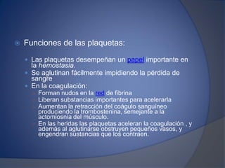  Funciones de las plaquetas:
 Las plaquetas desempeñan un papel importante en
la hemostasia.
 Se aglutinan fácilmente impidiendo la pérdida de
sangre
 En la coagulación:
○ Forman nudos en la red de fibrina
○ Liberan substancias importantes para acelerarla
○ Aumentan la retracción del coágulo sanguíneo
produciendo la trombostenina, semejante a la
actomiosnia del músculo.
○ En las heridas las plaquetas aceleran la coagulación , y
además al aglutinarse obstruyen pequeños vasos, y
engendran sustancias que los contraen.
 