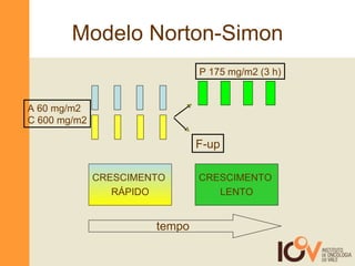 Modelo Norton-Simon F-up A 60 mg/m2 C 600 mg/m2 P 175 mg/m2 (3 h) CRESCIMENTO  RÁPIDO CRESCIMENTO  LENTO tempo 