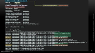 ALEXANDREBORGES–MALWAREANDSECURITYRESEARCHER
BHACK CONFERENCE 2019
55
v
Dump information about a specific module
v
 