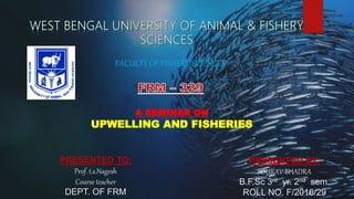 FACULTY OF FISHERY SCIENCES
A SEMINAR ON
UPWELLING AND FISHERIES
PRESENTED BY:
SOURAV BHADRA
B.F.Sc 3rd yr. 2nd sem.
ROLL NO. F/2016/29
PRESENTED TO:
Prof. t.s.Nagesh
Course teacher
DEPT. OF FRM
 