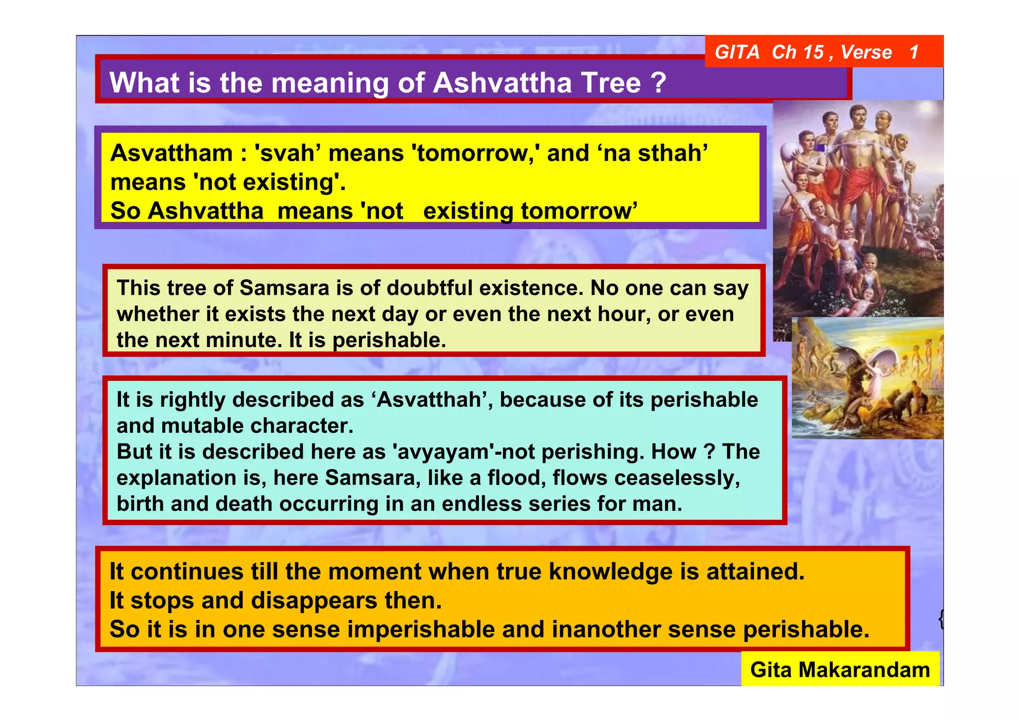 What is the meaning of Ashvattha Tree ?
GITA Ch 15 , Verse 1
Asvattham : 'svah’ means 'tomorrow,' and ‘na sthah’
means 'not existing'.
So Ashvattha means 'not existing tomorrow’
It continues till the moment when true knowledge is attained.
It stops and disappears then.
So it is in one sense imperishable and inanother sense perishable.
It is rightly described as ‘Asvatthah’, because of its perishable
and mutable character.
But it is described here as 'avyayam'-not perishing. How ? The
explanation is, here Samsara, like a flood, flows ceaselessly,
birth and death occurring in an endless series for man.
This tree of Samsara is of doubtful existence. No one can say
whether it exists the next day or even the next hour, or even
the next minute. It is perishable.
{
Gita Makarandam
 