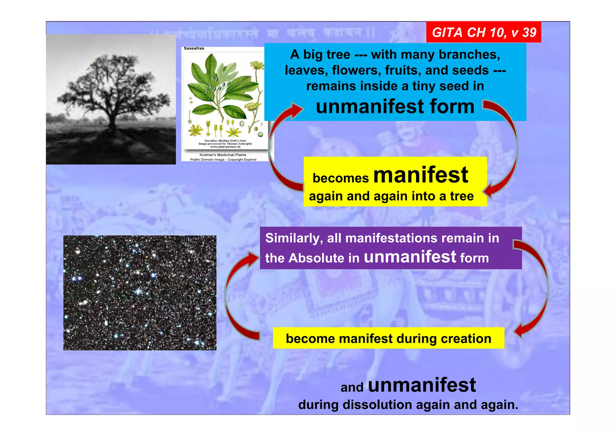 becomes manifest
again and again into a tree
GITA CH 10, v 39
A big tree --- with many branches,
leaves, flowers, fruits, and seeds ---
remains inside a tiny seed in
unmanifest form
Similarly, all manifestations remain in
the Absolute in unmanifest form
become manifest during creation
and unmanifest
during dissolution again and again.
 