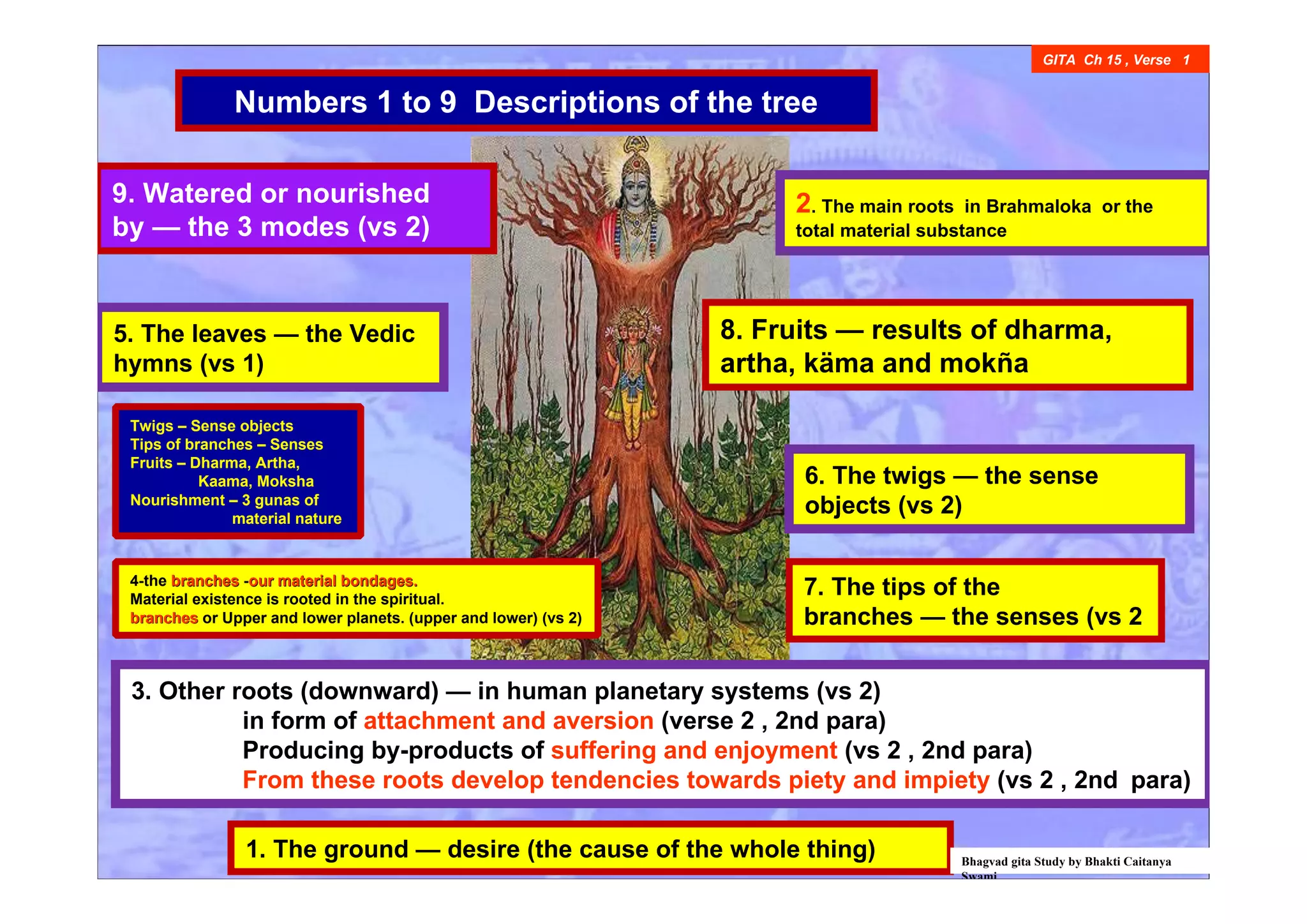 S
GITA Ch 15 , Verse 1
2. The main roots in Brahmaloka or the
total material substance
3. Other roots (downward) — in human planetary systems (vs 2)
in form of attachment and aversion (verse 2 , 2nd para)
Producing by-products of suffering and enjoyment (vs 2 , 2nd para)
From these roots develop tendencies towards piety and impiety (vs 2 , 2nd para)
1. The ground — desire (the cause of the whole thing)
6. The twigs — the sense
objects (vs 2)
5. The leaves — the Vedic
hymns (vs 1)
7. The tips of the
branches — the senses (vs 2
8. Fruits — results of dharma,
artha, käma and mokña
9. Watered or nourished
by — the 3 modes (vs 2)
Bhagvad gita Study by Bhakti Caitanya
Swami
Numbers 1 to 9 Descriptions of the tree
Twigs – Sense objects
Tips of branches – Senses
Fruits – Dharma, Artha,
Kaama, Moksha
Nourishment – 3 gunas of
material nature
4-the branchesbranches -our material bondages.our material bondages.
Material existence is rooted in the spiritual.
branchesbranches or Upper and lower planets. (upper and lower) (vs 2)
 