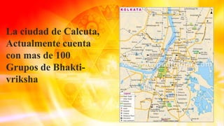 La ciudad de Calcuta,
Actualmente cuenta
con mas de 100
Grupos de Bhakti-
vriksha
 
