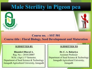 Male Sterility in Pigeon pea
1
SUBMITTED BY
Bhanderi Dhaval A.
Reg. No.:- 2010120007
M.Sc. (Agri.) 1st Semester,
Department of Seed Science & Technology
Junagadh Agricultural University, Junagadh
SUBMITTED TO
Dr. C. A. Babariya
Assistant Professor
Department of Seed Science & Technology
Junagadh Agricultural University,
Junagadh
Course no. : SST 501
Course title : Floral Biology, Seed Development and Maturation
 
