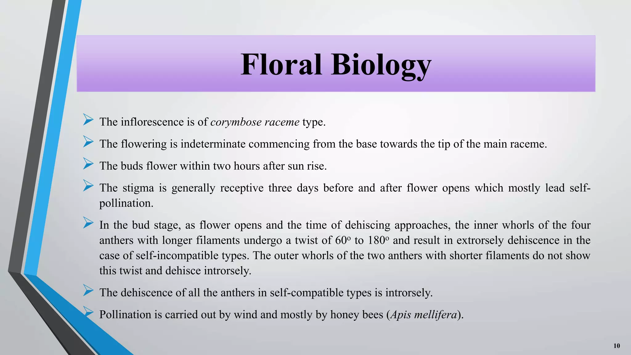 Floral Biology, Selfing & Crossing techniques and Seed Production on ...
