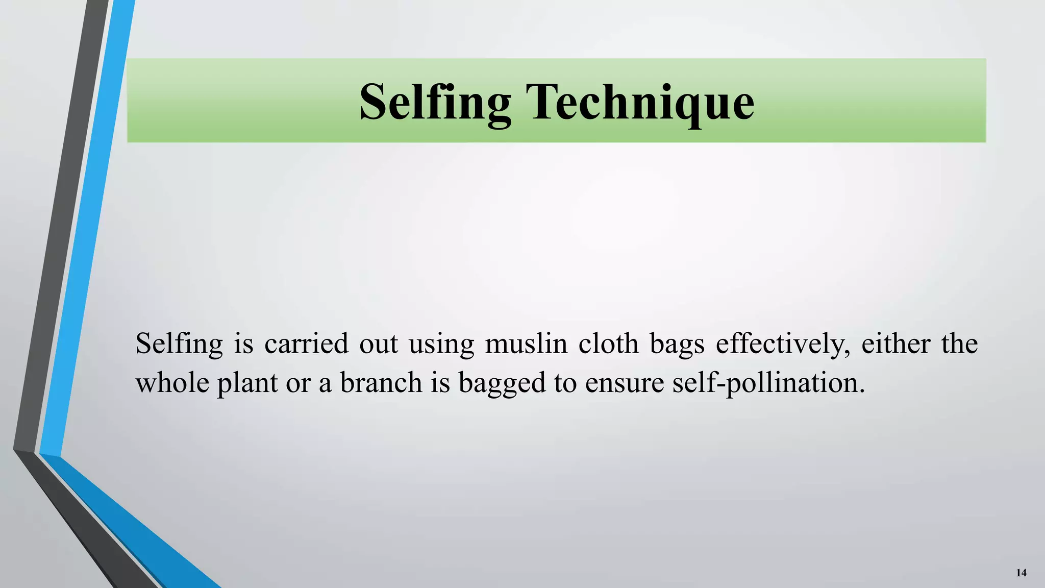 Floral Biology, Selfing & Crossing techniques and Seed Production on ...