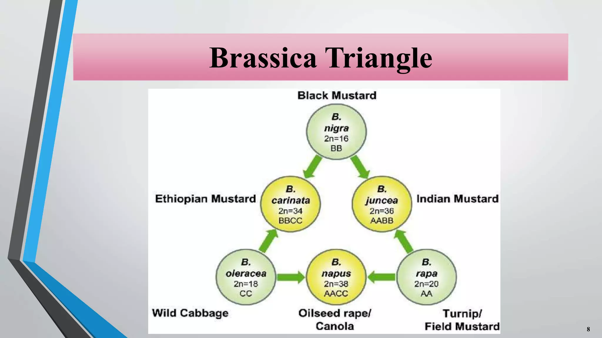 Floral Biology, Selfing & Crossing techniques and Seed Production on ...
