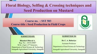 Floral Biology, Selfing & Crossing techniques and
Seed Production on Mustard
Course no. : SST 503
Course title : Seed Production in Field Crops
SUBMITTED BY
Bhanderi Dhaval A.
Reg. No.:- 2010120007
M.Sc. (Agri.) 2nd Semester,
Department of Seed Science & Technology
Junagadh Agricultural University, Junagadh
SUBMITTED TO
Dr. C. A. Babariya
Assistant Professor
Department of Seed Science & Technology
Junagadh Agricultural University, Junagadh
 