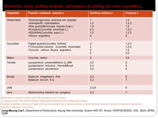 Rootstock, major grafting methods, and purpose of grafting for some vegetables.
Vegetable Popular rootstock species z Grafting method y Purpose x
Watermelon •Guard(Lagernaria siceraria var. hispida)
•Interspecific hybridisation
•Wax guard(Benincasa hispida Cogn.)
•Pumpkin(Cucurbita moschata L.)
•SQUASH(Cucurbita pepo L.)
•Sicyos angulatus
1
1,2
1,3
2,3
1,2
2
1,2
1,2,3
1,2
1,2,3
1,2,3
5
Cucumber Figleaf guard(Cucurbita ficifolia)
F1(Cucurbits maxima Cucurbits moschata)
Cucumis sativus ,Sicyos angulatus
2
2
2
2
1,2,3
1,2,4
1,2
2,5
Melon Cucumis melon 3 3,4
Tomato Lycopersicon pimpinellifolium (L.)Mill
Lycopersicon hirsutum Homb&Bonpl
Lycopersicon esculentum
3,4
3,4
3,4
5
5
5
Brinjal Solanum integrifolium Poir
Solanum turvum S w.
2,3
2,3
6
7
chilli 2,3,4 5
okra Abelmoschus manihot var. pungens, 2,3 7
nZ:the name of numerous varieties with in the same species were not listed.
Y:graftng method-1.hole insertion method,2.tongue approach grafting,3.cleft grafting,4.tube grafting.
X:purpose of grafting-1.tolerance to fungal wilt,2.growth promotion,3.low temperature tolerance,4.growth period & extension,5.resistant to nematode,6.bacterial wilt
tolerance,7.reduction of virus infectio
Jung-Myung Lee1, Department of Horticulture, Kyung Hee University, Suwon 449-701, Korea, HORTSCIENCE, VOL. 29(4), APRIL
1994
 