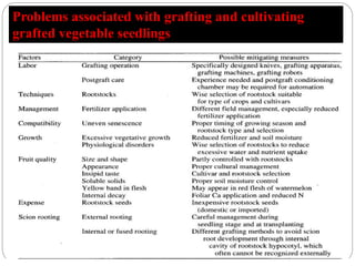 Problems associated with grafting and cultivating
grafted vegetable seedlings.
 