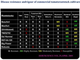 R=Resistant , HR=Highly Resistant, MR=Moderately Resistant, S=Susceptible
Disease resistance andvigour of commercial tomatorootstock cultivars
Rootstocks TMV
Corky
Root
Fusarium Wilt
Verticillium
Wilt (r1)
Root-knot
Nematode
Bacterial
Wilt
Southern
BlightRace
1
Race
2
Beaufort R R R R R MR S HR
Maxifort R R R R R MR S HR
(Unreleased) R S R R R R HR MR
TMZQ702 R S R R R R MR MR
Dai Honmei R R R S R R HR MR
RST-04-105 R R R R R R HR MR
Big Power R R R R R R S HR
Robusta R R S R R S S ?
HORTSCIENCE.VOL.29,APRIL 2009
 