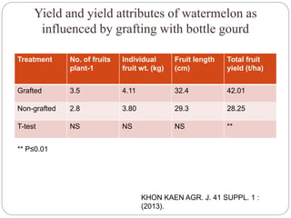 Yield and yield attributes of watermelon as
influenced by grafting with bottle gourd
Treatment No. of fruits
plant-1
Individual
fruit wt. (kg)
Fruit length
(cm)
Total fruit
yield (t/ha)
Grafted 3.5 4.11 32.4 42.01
Non-grafted 2.8 3.80 29.3 28.25
T-test NS NS NS **
** P≤0.01
KHON KAEN AGR. J. 41 SUPPL. 1 :
(2013).
 