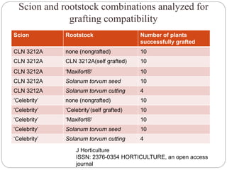 Scion and rootstock combinations analyzed for
grafting compatibility
Scion Rootstock Number of plants
successfully grafted
CLN 3212A none (nongrafted) 10
CLN 3212A CLN 3212A(self grafted) 10
CLN 3212A ‘Maxifort®’ 10
CLN 3212A Solanum torvum seed 10
CLN 3212A Solanum torvum cutting 4
‘Celebrity’ none (nongrafted) 10
‘Celebrity’ ‘Celebrity’(self grafted) 10
‘Celebrity’ ‘Maxifort®’ 10
‘Celebrity’ Solanum torvum seed 10
‘Celebrity’ Solanum torvum cutting 4
J Horticulture
ISSN: 2376-0354 HORTICULTURE, an open access
journal
 