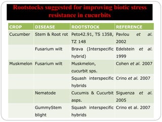 Rootstocks suggested for improving biotic stress
resistance in cucurbits
CROP DISEASE ROOTSTOCK REFERENCE
Cucumber Stem & Root rot Peto42.91, TS 1358,
TZ 148
Pavlou et al.
2002
Fusarium wilt Brava (Interspecific
hybrid)
Edelstein et al.
1999
Muskmelon Fusarium wilt Muskmelon,
cucurbit sps.
Cohen et al. 2007
Squash interspecific
hybrids
Crino et al. 2007
Nematode Cucumis & Cucurbit
asps.
Siguenza et al.
2005
GummyStem
blight
Squash interspecific
hybrids
Crino et al. 2007
 