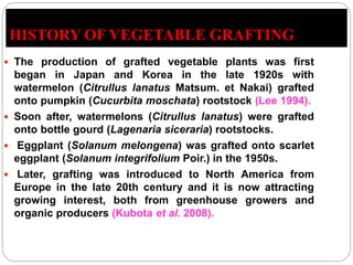 HISTORY OF VEGETABLE GRAFTING
 The production of grafted vegetable plants was first
began in Japan and Korea in the late 1920s with
watermelon (Citrullus lanatus Matsum. et Nakai) grafted
onto pumpkin (Cucurbita moschata) rootstock (Lee 1994).
 Soon after, watermelons (Citrullus lanatus) were grafted
onto bottle gourd (Lagenaria siceraria) rootstocks.
 Eggplant (Solanum melongena) was grafted onto scarlet
eggplant (Solanum integrifolium Poir.) in the 1950s.
 Later, grafting was introduced to North America from
Europe in the late 20th century and it is now attracting
growing interest, both from greenhouse growers and
organic producers (Kubota et al. 2008).
 