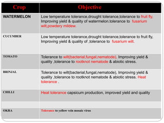 Crop Objective
WATERMELON Low temperature tolerance,drought tolerance,tolerance to fruit fly,
Improving yield & quality of watermelon.tolerance to fusarium
wilt,powdery mildew.
CUCUMBER Low temperature tolerance,drought tolerance,tolerance to fruit fly,
Improving yield & quality of ,tolerance to fusarium wilt.
TOMATO Tolerance to wilt(bacterial,fungal,nematode), Improving yield &
quality ,tolerance to rootknot nematode & abiotic stress.
BRINJAL Tolerance to wilt(bacterial,fungal,nematode), Improving yield &
quality ,tolerance to rootknot nematode & abiotic stress. Heat
tolerance .
CHILLI Heat tolerance capsicum production, improved yield and quality
OKRA Tolerance to yellow vein mosaic virus
 