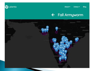 fall army worm ppt bharath | PPTX