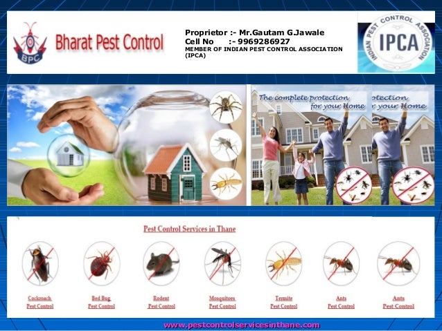 Pest Control Services in Thane East-West, Mumbai, India