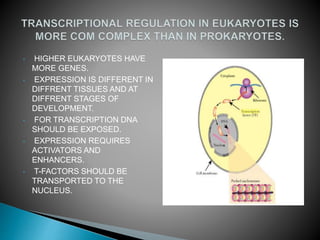 • HIGHER EUKARYOTES HAVE
MORE GENES.
• EXPRESSION IS DIFFERENT IN
DIFFRENT TISSUES AND AT
DIFFRENT STAGES OF
DEVELOPMENT.
• FOR TRANSCRIPTION DNA
SHOULD BE EXPOSED.
• EXPRESSION REQUIRES
ACTIVATORS AND
ENHANCERS.
• T-FACTORS SHOULD BE
TRANSPORTED TO THE
NUCLEUS.
 