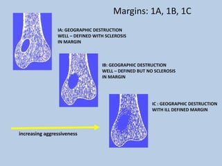 Margins: 1A, 1B, 1C
                IA: GEOGRAPHIC DESTRUCTION
                WELL – DEFINED WITH SCLEROSIS
                IN MARGIN



                                  IB: GEOGRAPHIC DESTRUCTION
                                  WELL – DEFINED BUT NO SCLEROSIS
                                  IN MARGIN




                                                       IC : GEOGRAPHIC DESTRUCTION
                                                       WITH ILL DEFINED MARGIN



increasing aggressiveness
 
